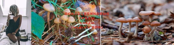 альфа пвп VHQ Фурманов
