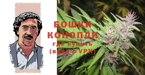 гашик Горно-Алтайск