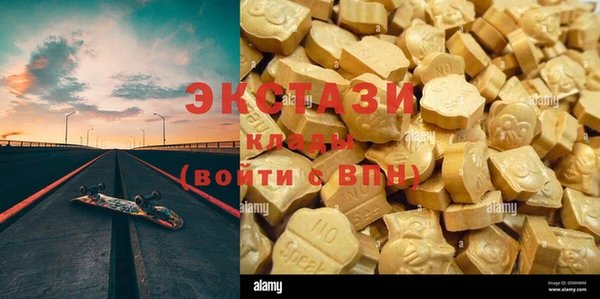мдпв Горнозаводск