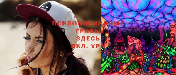 мдпв Горнозаводск
