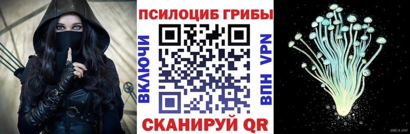 Псилоцибиновые грибы прущие грибы  мега ТОР  Гурьевск 