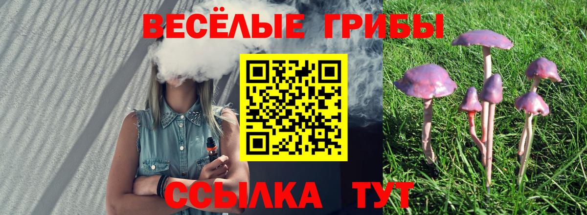 ГАШ Гурьевск