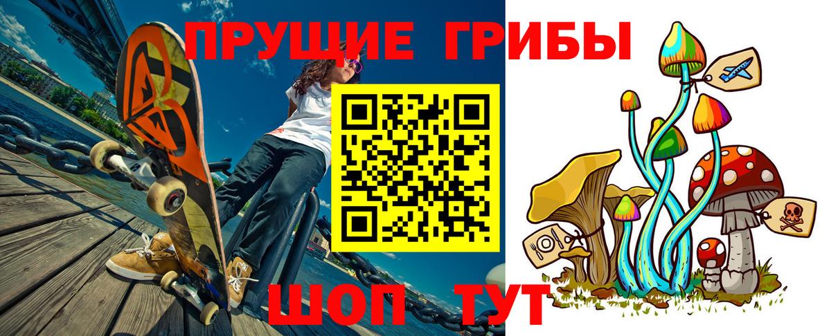 Галлюциногенные грибы MAGIC MUSHROOMS  Гурьевск  Псилоцибиновые грибы мухоморы 