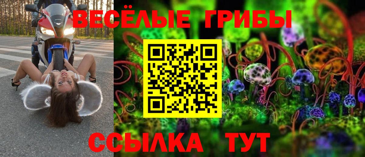 Гурьевск  Псилоцибиновые грибы Psilocybe  Вход с VPN 